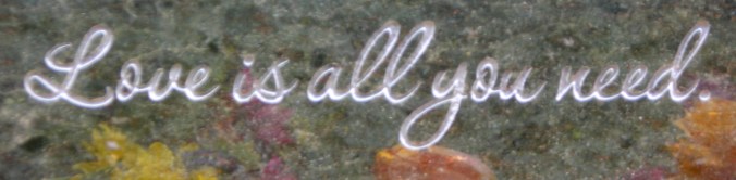 Love is all you need